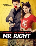 Mr. Right izle |1080p|