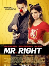 Mr. Right izle |1080p|