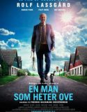 Hayata Röveşata Çeken Adam izle