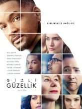 Gizli Güzellik | Collateral Beauty