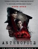 Anthropoid