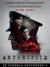 Anthropoid