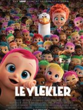 Leylekler | Storks