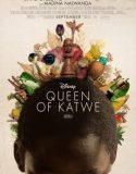 Katwe Kraliçesi