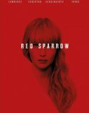 Kızıl Serçe | Red Sparrow