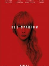 Kızıl Serçe | Red Sparrow