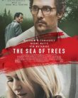 Sonsuzluk Ormanı | The Sea of Trees