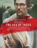 Sonsuzluk Ormanı | The Sea of Trees