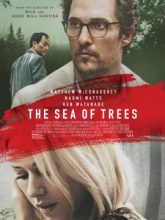 Sonsuzluk Ormanı | The Sea of Trees