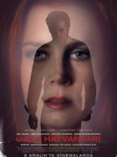 Gece Hayvanları | Nocturnal Animals