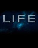 Hayat | Life