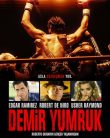 Demir Yumruk | Hands of Stone