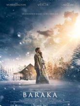 Baraka | The Shack