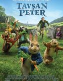 Tavşan Peter | Petter Rabbit