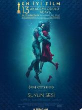 Suyun Sesi | The Shape of Water