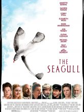 The Seagull