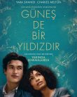 Güneş de Bir Yıldızdır | The Sun Is Also a Star