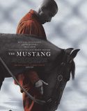 The Mustang